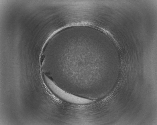 X0000056331184200509161701