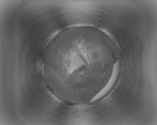 X0000056331185200509161701