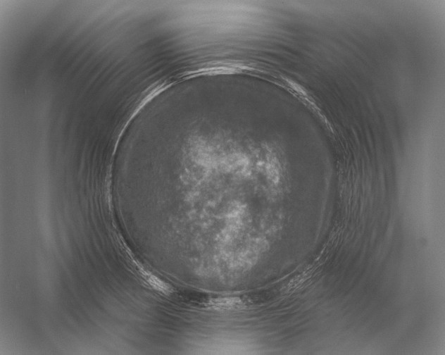 X0000056331186200509161701