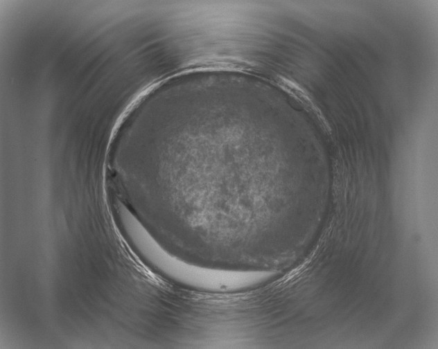 X0000056331188200509161701