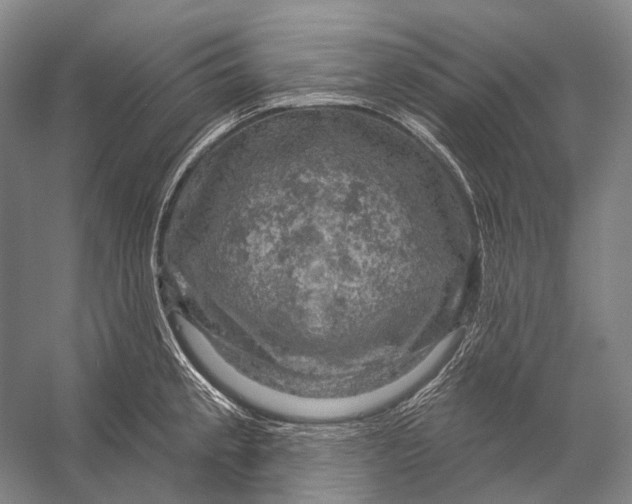 X0000056331189200509161701