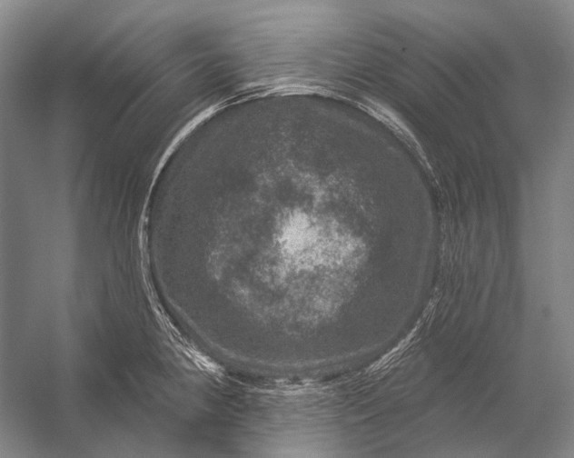 X0000056331190200509161701