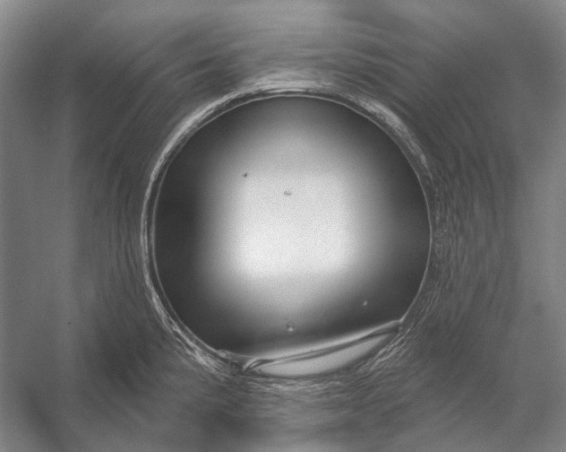 X0000056331191200509161701