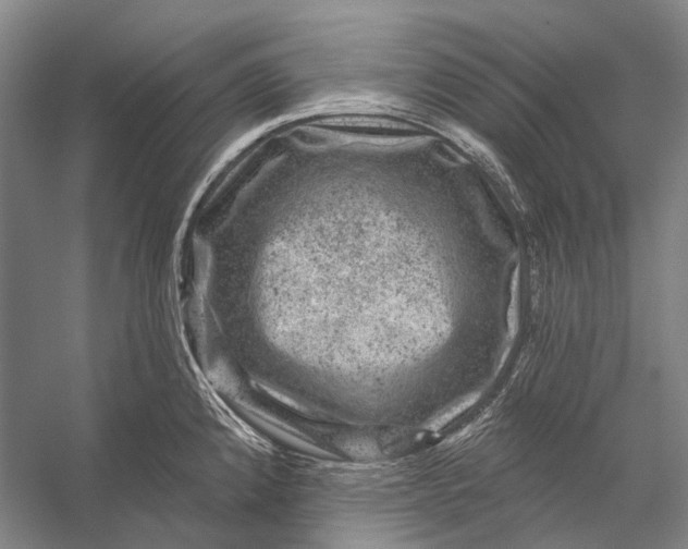 X0000056331192200509161701