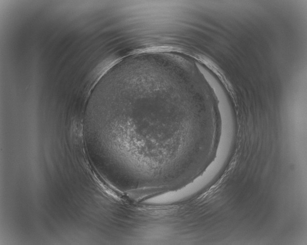 X0000056331193200509161701