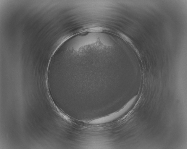 X0000056331194200509161701