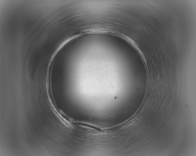 X0000056331195200509161701