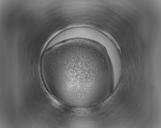 X0000056331197200509161701