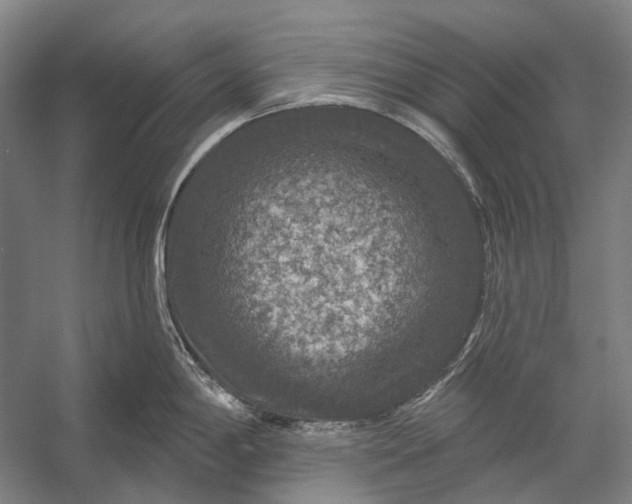 X0000056331198200509161701