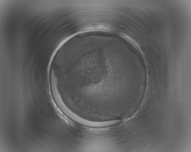 X0000056331200200509161701