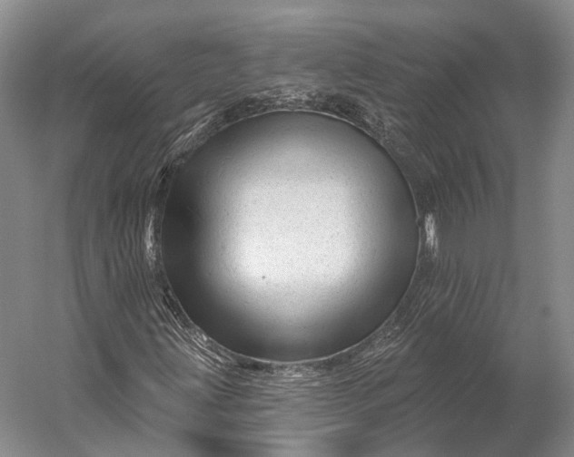 X0000056331203200509161700