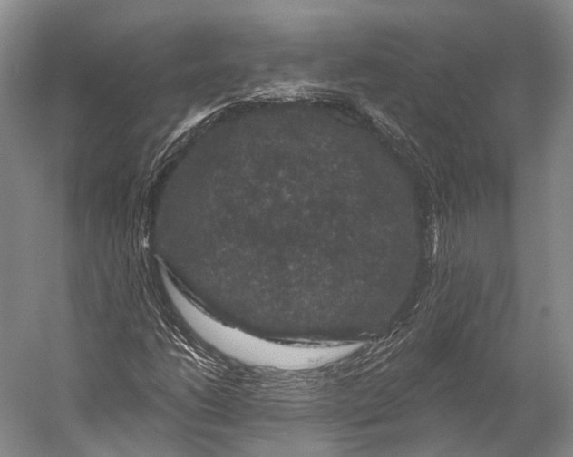 X0000056331206200509161700