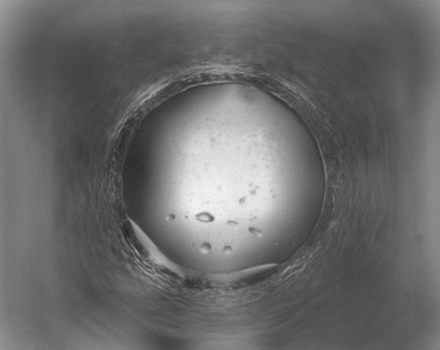 X0000056331207200509161700