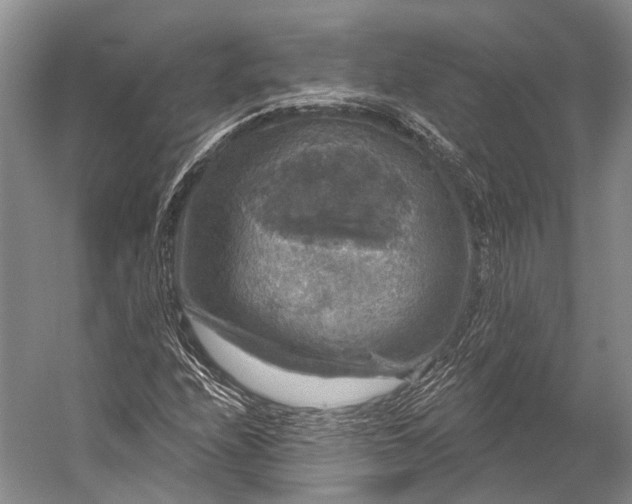 X0000056331208200509161700