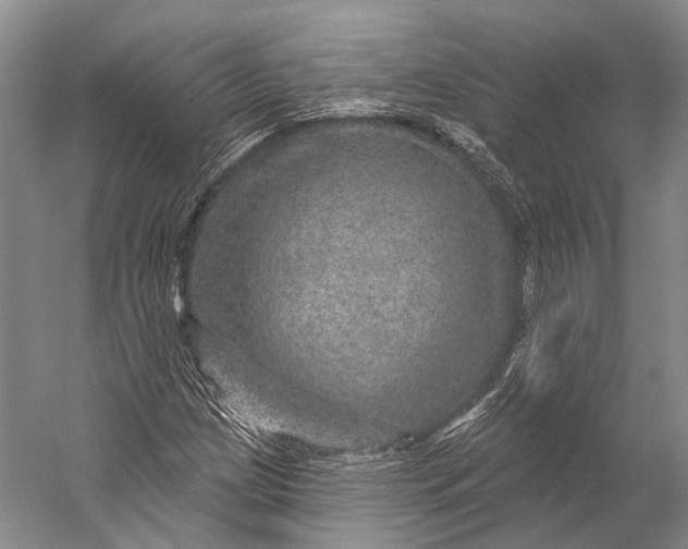 X0000056331209200509161700