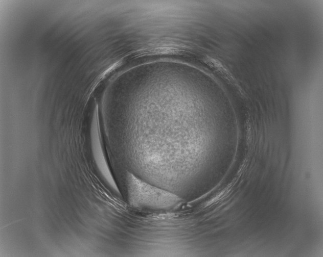 X0000056331210200509161700