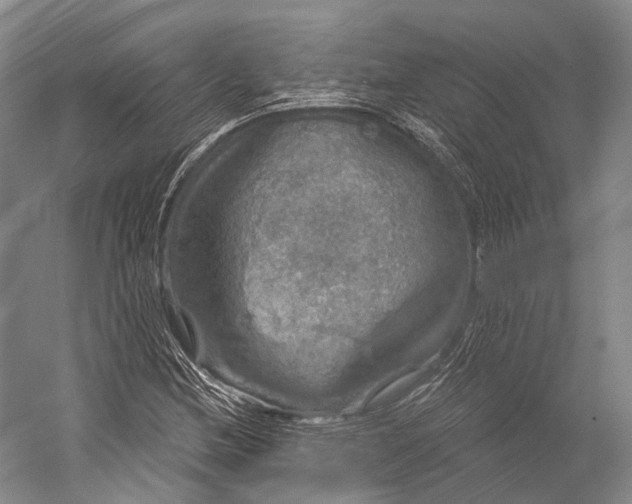 X0000056331212200509161700