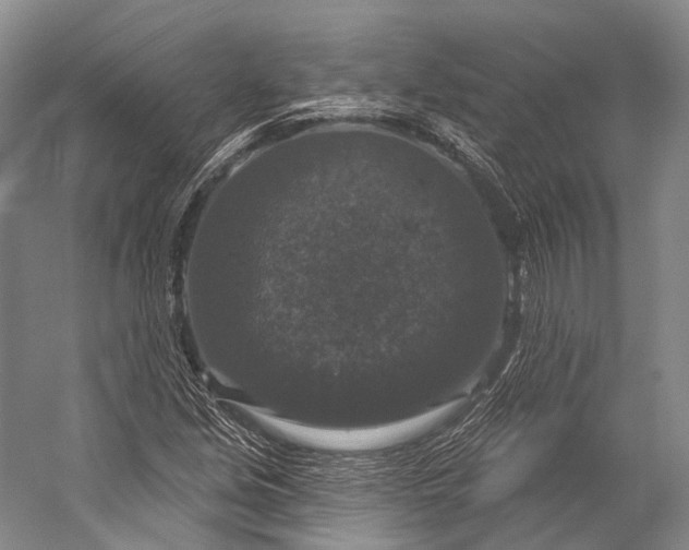 X0000056331213200509161700