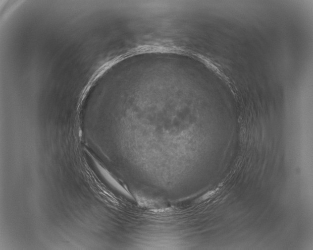 X0000056331215200509161700