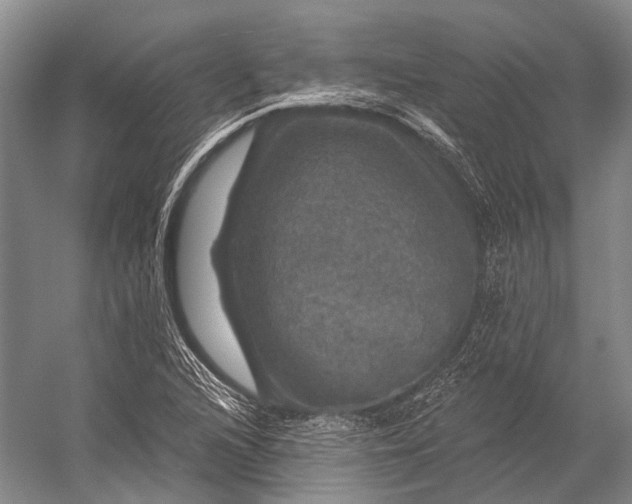 X0000056331216200509161700