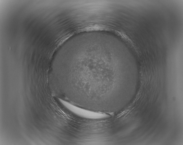 X0000056331217200509161700