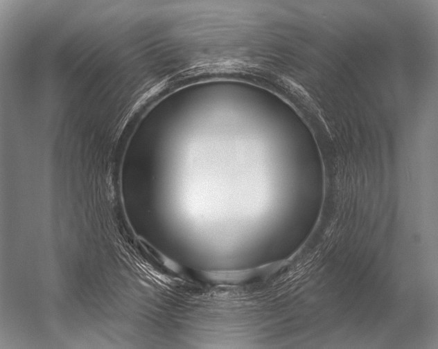 X0000056331218200509161700