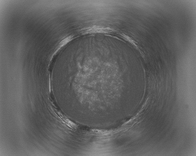 X0000056331219200509161700