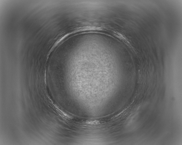 X0000056331220200509161700