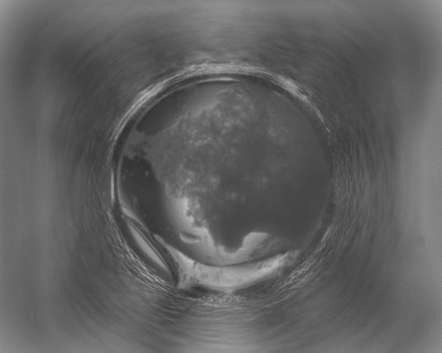 X0000056331221200509161701