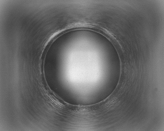 X0000056331222200509161701