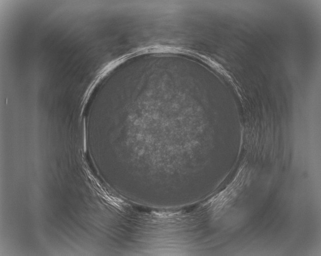 X0000056331223200509161701