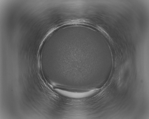 X0000056331224200509161701