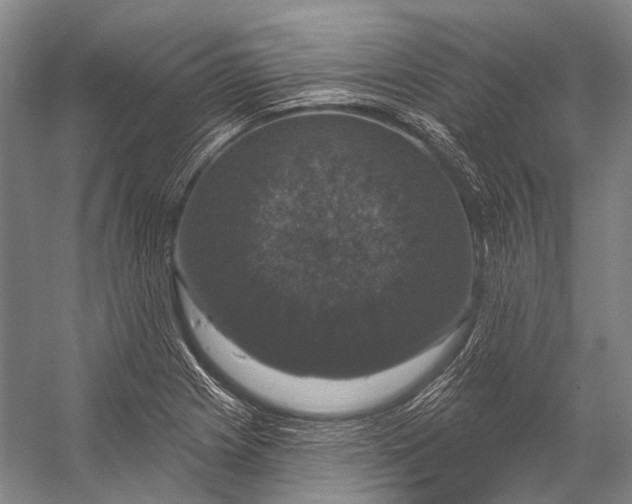 X0000056331225200509161701