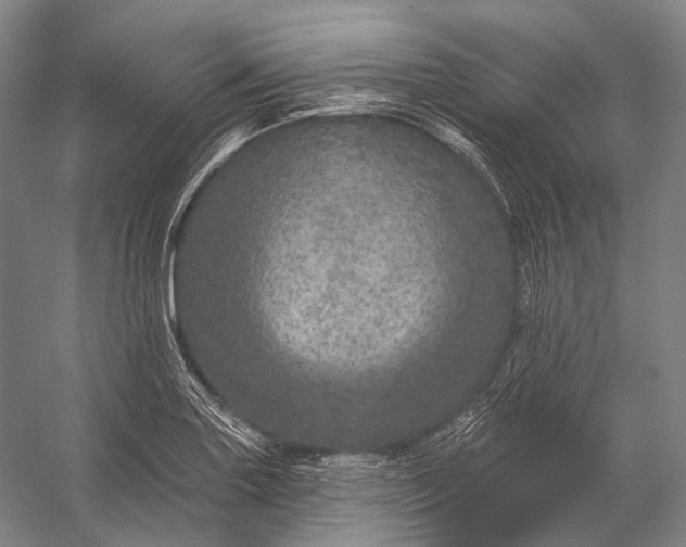 X0000056331227200509161701