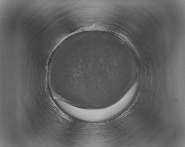 X0000056331228200509161701