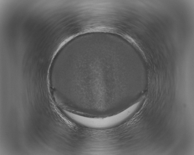 X0000056331230200509161701