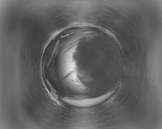 X0000056331231200509161701