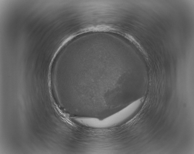 X0000056331232200509161701