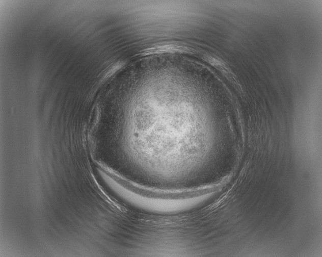 X0000056331233200509161701