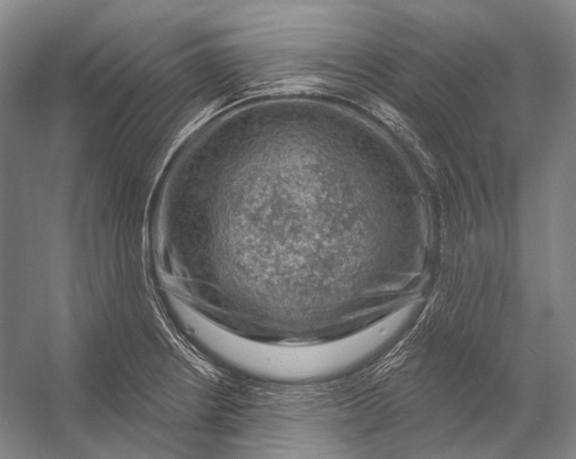 X0000056331234200509161701