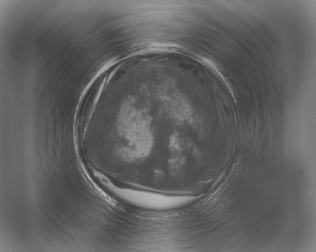 X0000056331235200509161701