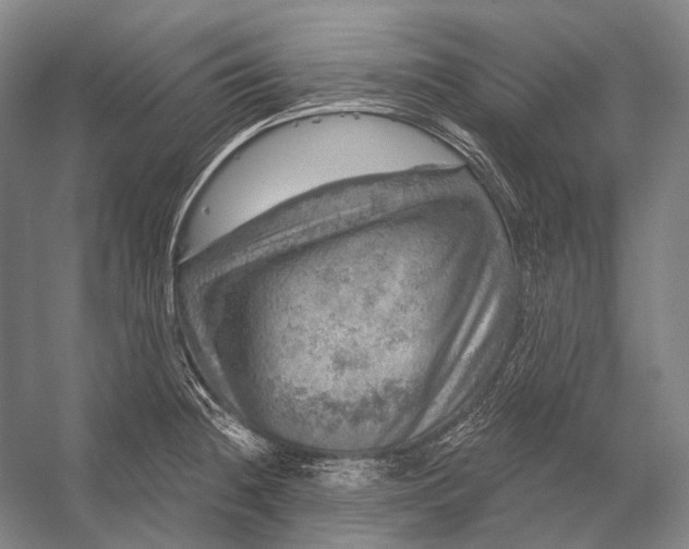 X0000056331236200509161701