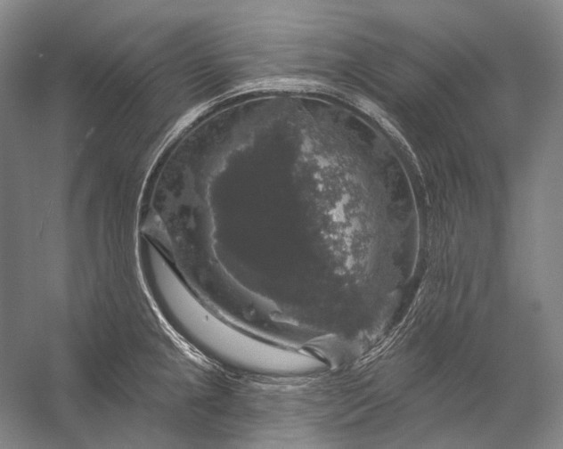 X0000056331237200509161701