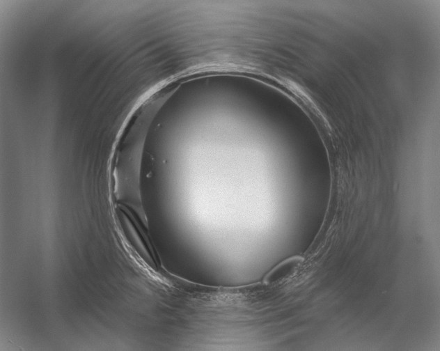 X0000056331238200509161701