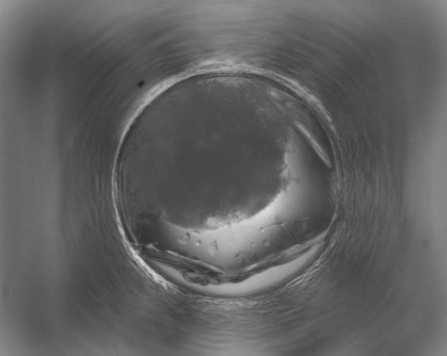 X0000056331239200509161701