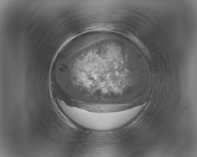 X0000056331240200509161701