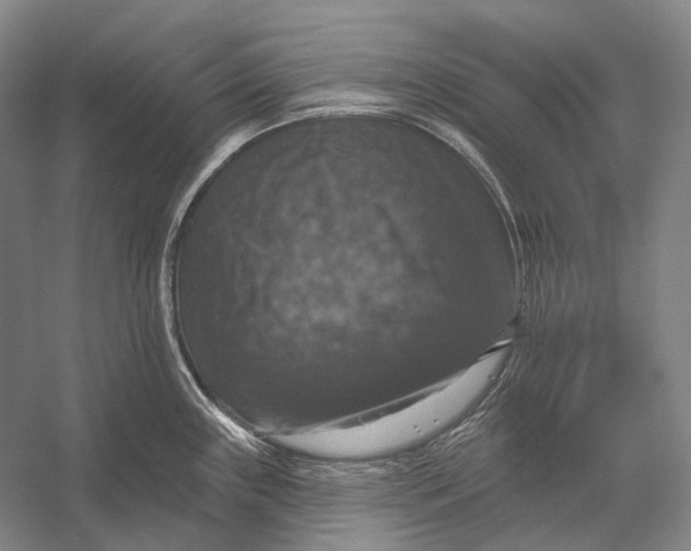 X0000056331243200509161701