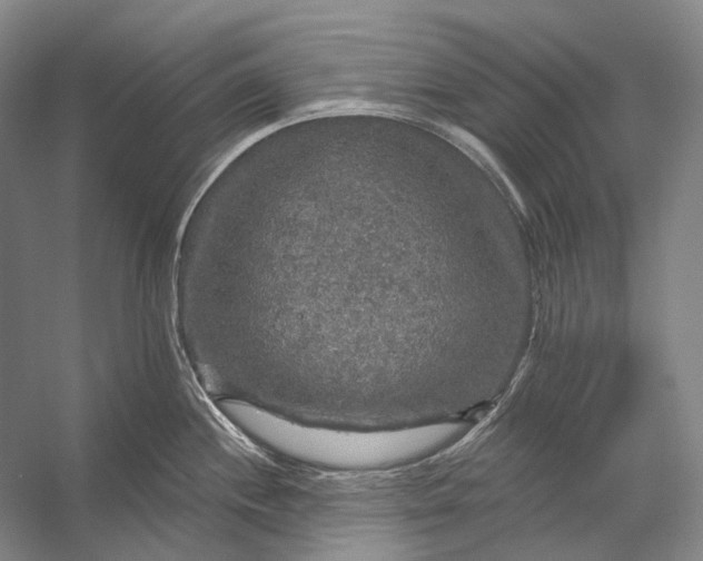 X0000056331244200509161701