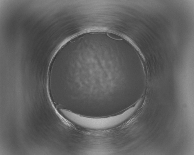 X0000056331245200509161701