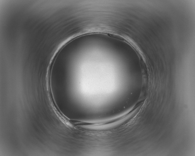 X0000056331246200509161701